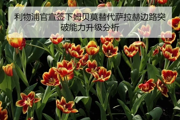 利物浦官宣签下姆贝莫替代萨拉赫边路突破能力升级分析