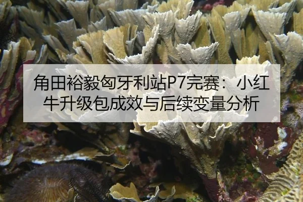 jiao-tian-yu-yi-xiong-ya-li-zhan-wan-sai-xiao-hong-niu-sheng-ji-bao-cheng-xiao-yu-hou-xu-bian-liang-fen-xi-3-490.jpg